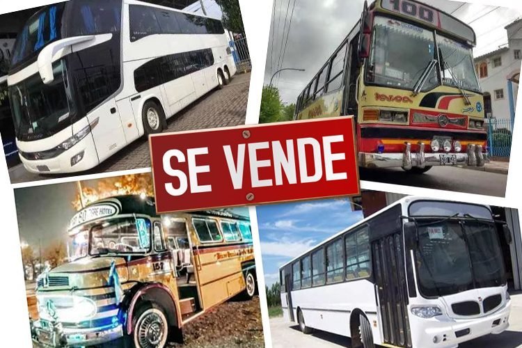 mercado automotor cuánto valen los colectivos nuevos y usados en