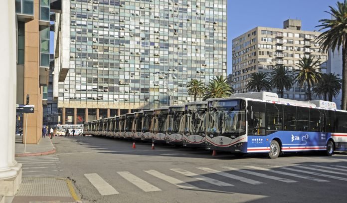buses-electricos-montevideo (19)